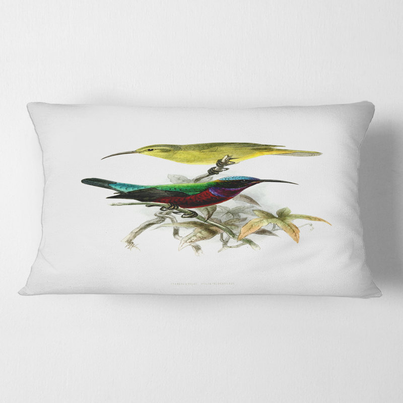 Housse et insert de coussin rectangulaire australien Birds XV