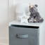 Northville 54cm H x 30cm W Cube Bookcase-104233256