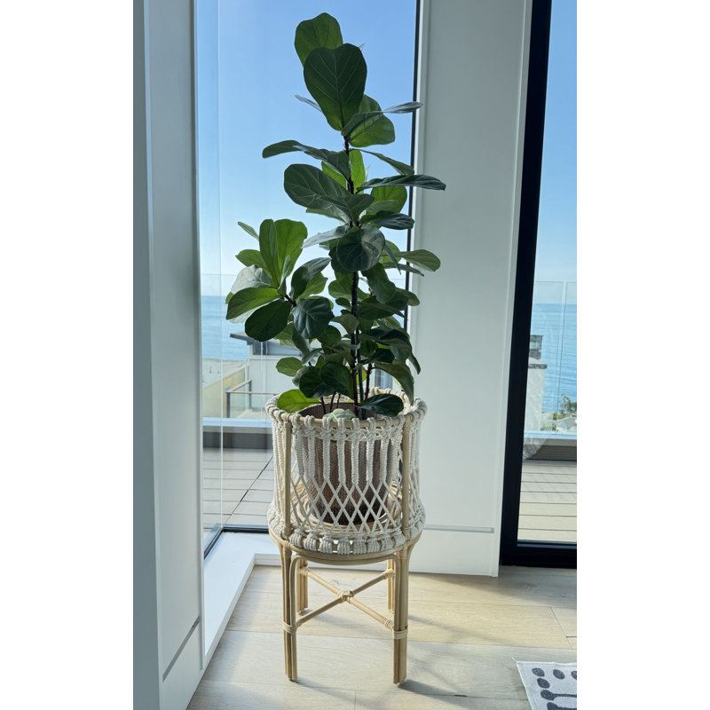 Behrad Plant Stand 1 Tier