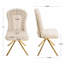Chaises d'appoint de salle à manger (ensemble de 2), chaises d'appoint rembourrées en tissu de velours-59100577