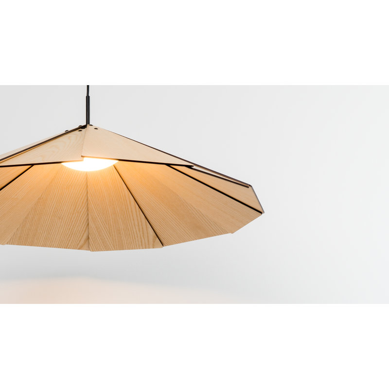 Sepal 1 - Light Cone LED Pendant