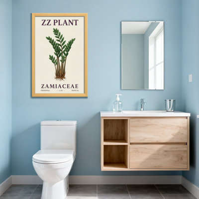 Plants &Flowers Zz Plant Zamiaceae Perennial Tropical 1 2m