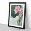 Pink Lotus Flower by Ohara Koson - Picture Frame Painting Print-55584102-55584106
