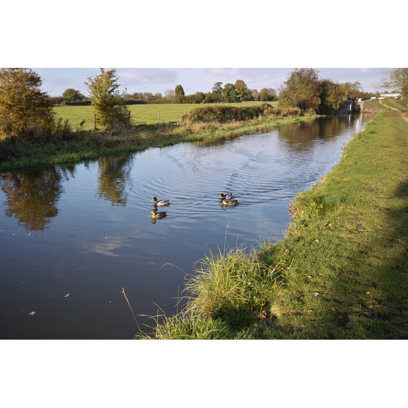 Canal by Kodachrome25 - No Frame Print on Canvas, 61cm H x 91cm W