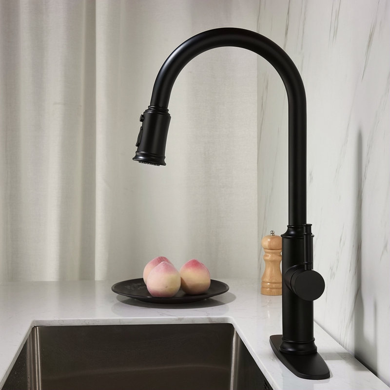 Kitchen Faucet With Pull Out Spraye