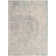 Chantae Performance Oriental Rug