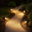 Solar Powered Integrated LED Pathway Light
