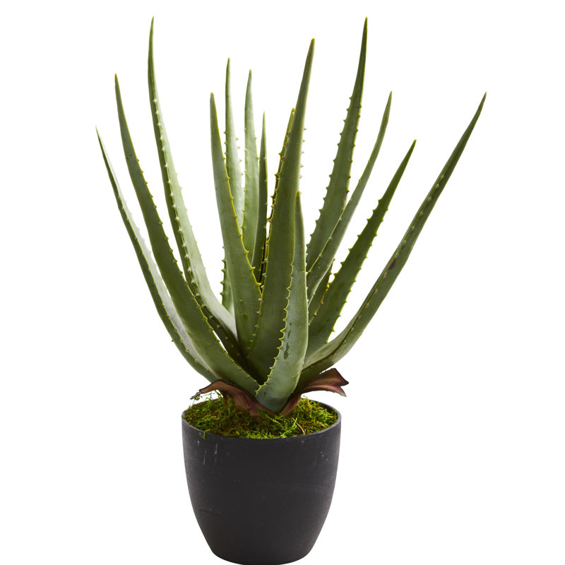 18'' Faux Aloe Succulent in Planter