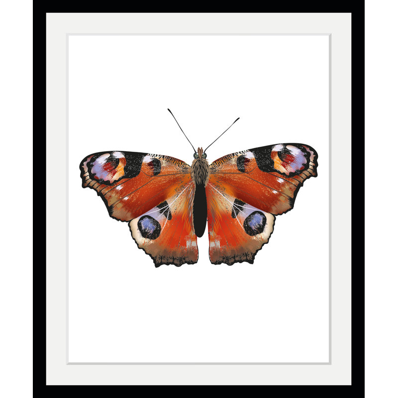 Butterfly - Single Picture Frame Print, 60 cm H x 50 cm W