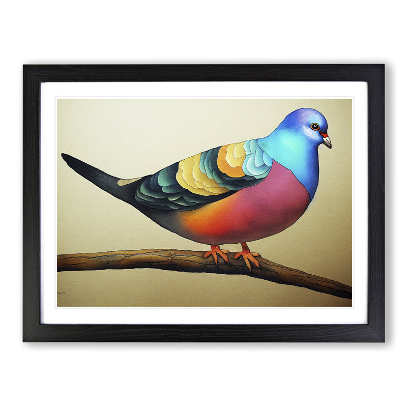 Pigeon Bird Watercolour Vol.3 - Single Picture Frame Print, 46cm H x 64cm W x 2cm D, Black Framed