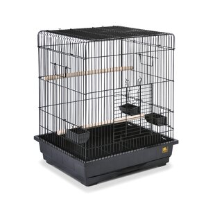 Knox Hanging Bird Cage with Removable Tray