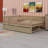 Wood Daybed With Trundle And Fence Guardrails-1255927859