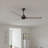 Alessandra 56'' Ceiling Fan-1813771990-1813772011