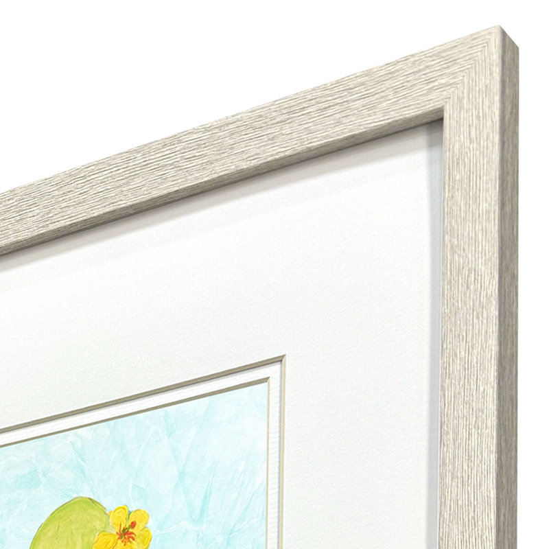 Baby Octopus Framed Art