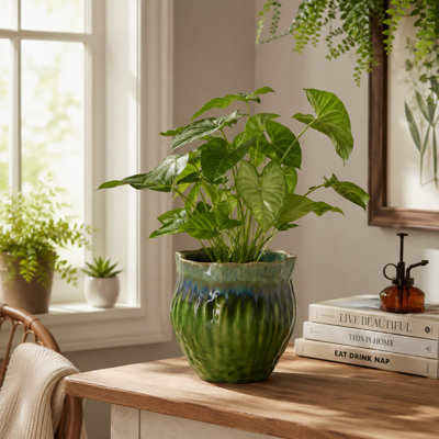 Pot à fleurs décoratif Ashly avec bordure festonnée, céramique texturée verte 8 pouces