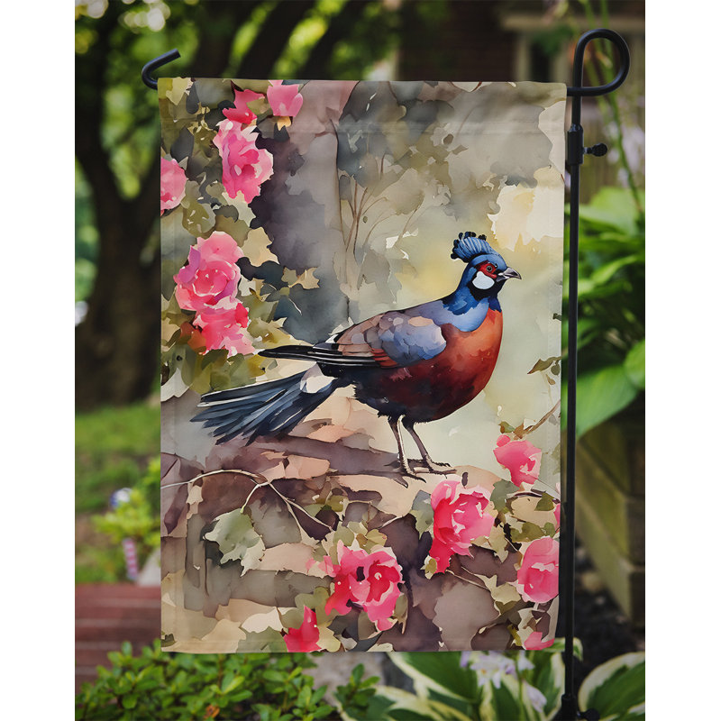 Drapeau de jardin de faisan_DAC3259