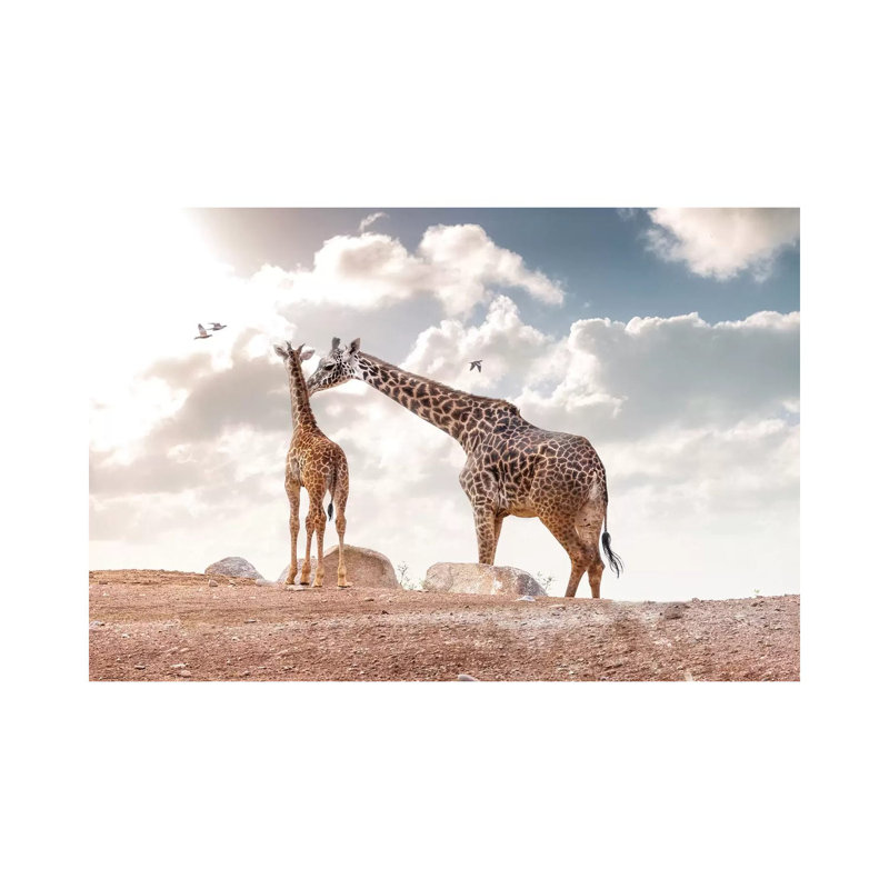 Mother Showing Affection To Baby Masai Giraffe 1 Piece Wrapped Canvas Wall Art, 66.04 cm H x 45.72 cm W x 3.175 cm D