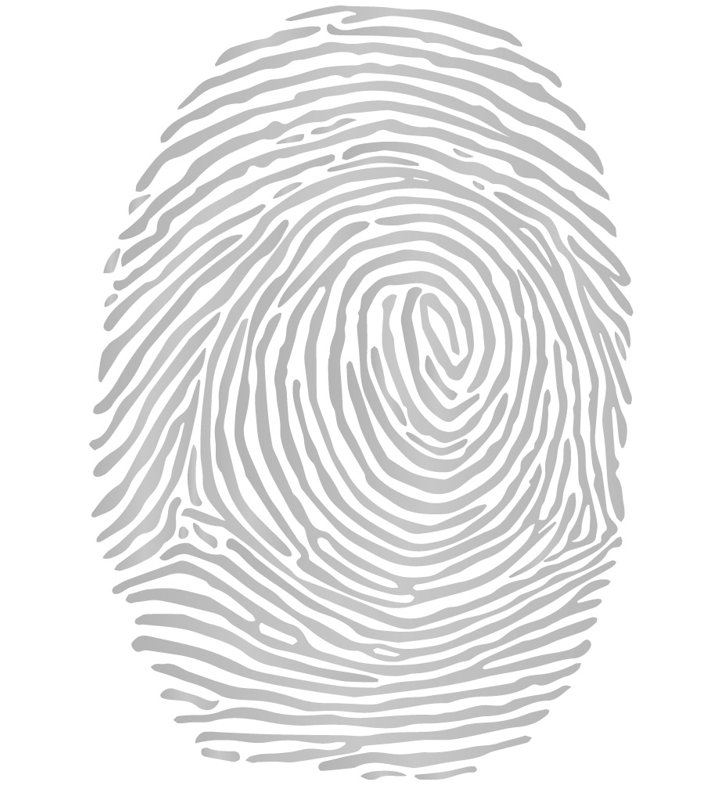 Décalcomanie murale à empreinte digitale, H 21 po x l 15 po x P 0,01 po, Argent