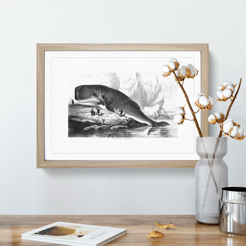 Hunted Sperm Whale by John Karst - Picture Frame Graphic Art Print on MDF, 36cm H x 48cm W x 2cm D, Oak Framed