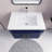 Foushee 29.53'' Single Bathroom Vanity with Acrylic Top-239850848-179437801