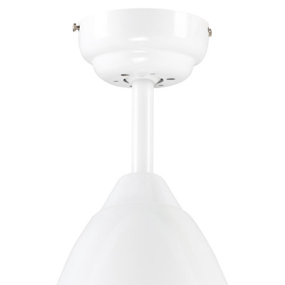 Nagma Ceiling Fan with Light Kit