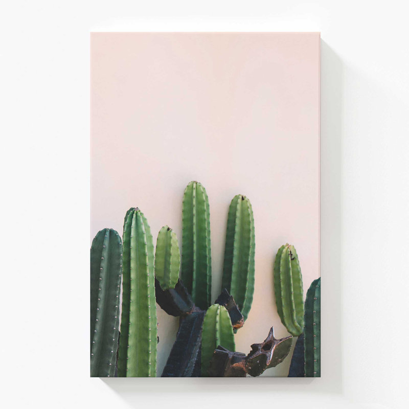 «Prickly Beauty», grande impression sur toile, H 54 po x l 36 po