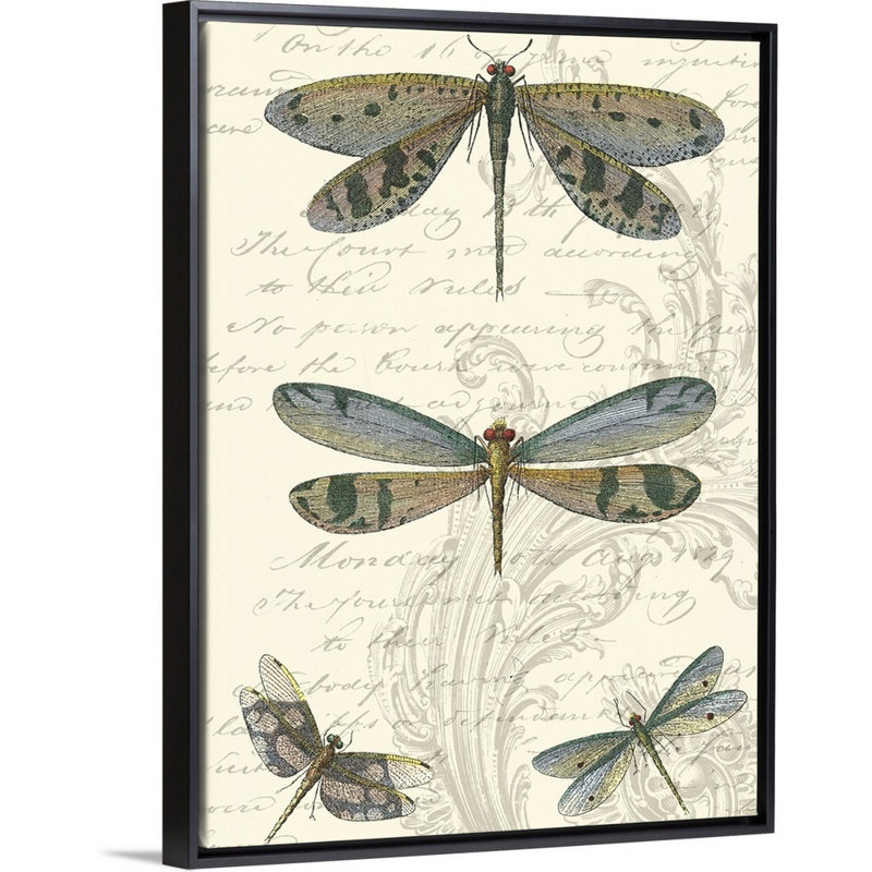 «Dragonfly Delight I» par Studio Vision - reproduction d'art sur toile, H 18 po x l 14 po x P 2 po, Toile avec cadre noir