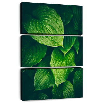 Harnek Soaked Green Leaves