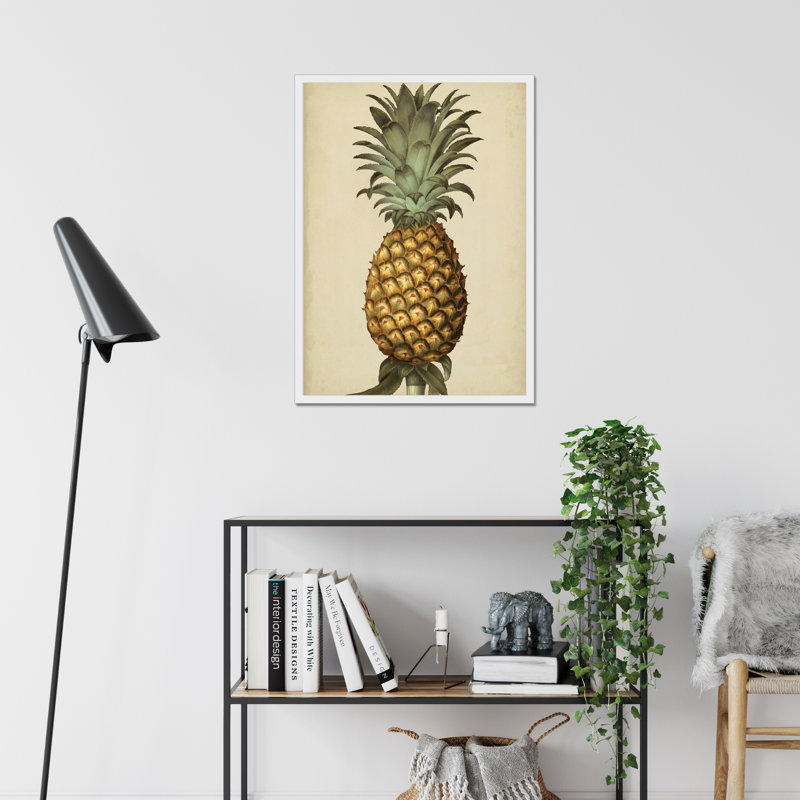 Brookshaw Antique Pineapple I 1 Piece Painting, 50cm H x 34cm W, White Framed Paper Print