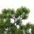 2-pack 14” Faux Bonsai Trees With Real Touch Leaves, In A Modern Geometric Ceramic Vase