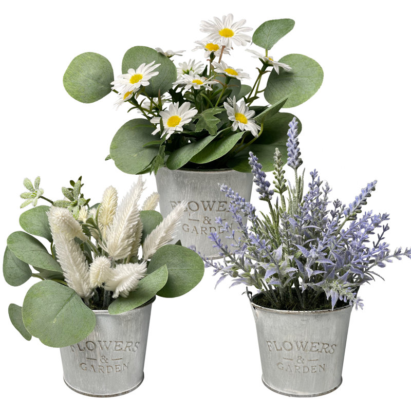 Arrangement floral Gira en pot
