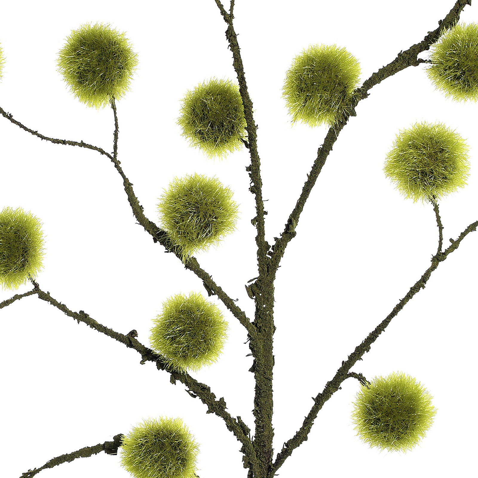 Hanging Moss Ball Stems