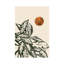 Calas II (bronze) par Bria Nicole, reproduction d'art graphique sur toile tendue-55902106
