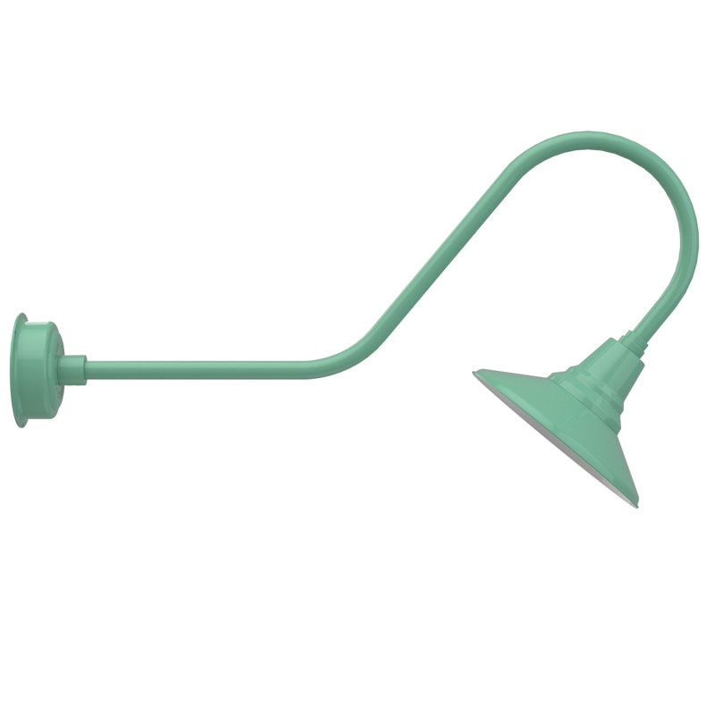 Luminaire de grange d’extérieur à del Albali, H 12 po x l 12 po x P 36 po, Jade