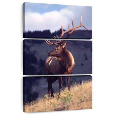 Montana Bull Elk