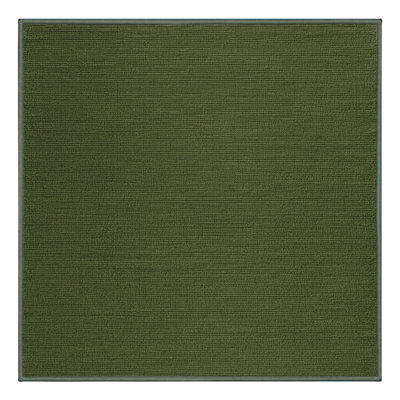 Machine Washable Solid Green Area Rug