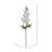 Larkspur Arrangement-971358706