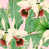 Green/Pink/White/Red selected