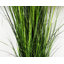 130cm Faux Onion Grass Plant in Metal Planter-2073682924