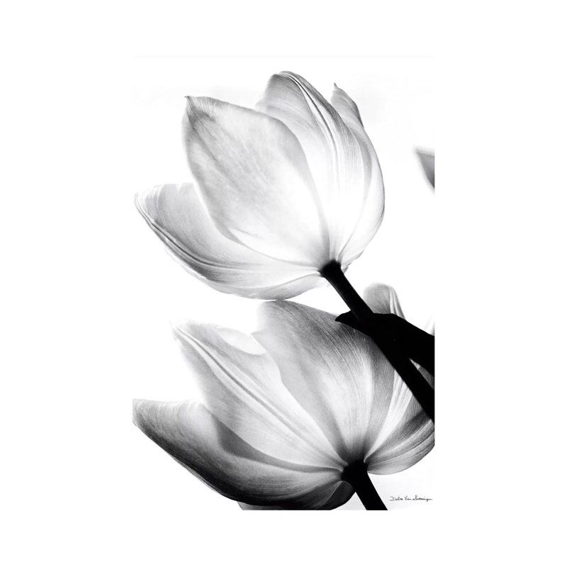 Translucent Tulips II- Gallery-Wrapped Canvas Giclée