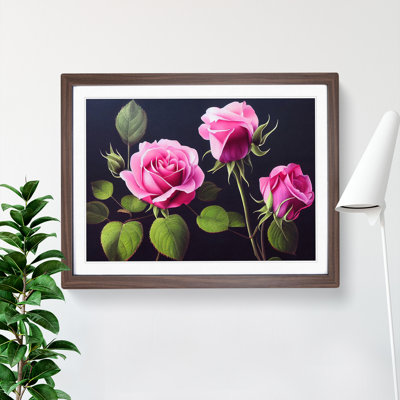 Serene Rose Flowers - Framed Print