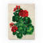 «Red Geranium» par Dartis, art textuel sur toile tendue-25331686