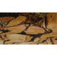 Tapis Rugs.com Pioneer-285713714