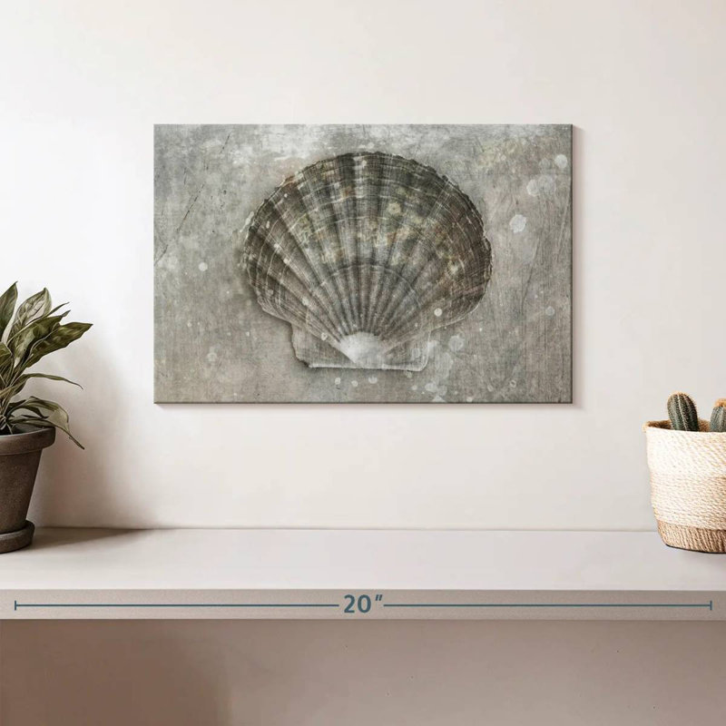 Aletra BW Scallop Seashell, 8" H x 12" W