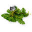 25 cm H Faux Plant-127680992