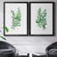 Eucalyptus I - Ensemble de 2 peintures sur toiles-1776738115-1776738125