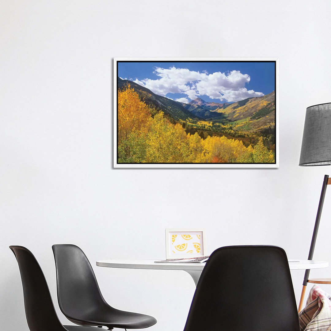 Haystack Mountain With Aspen Forest, Maroon Bells-Snowmass Wilderness, Colorado von Tim Fitzharris - Gallery-Wrapped Can...