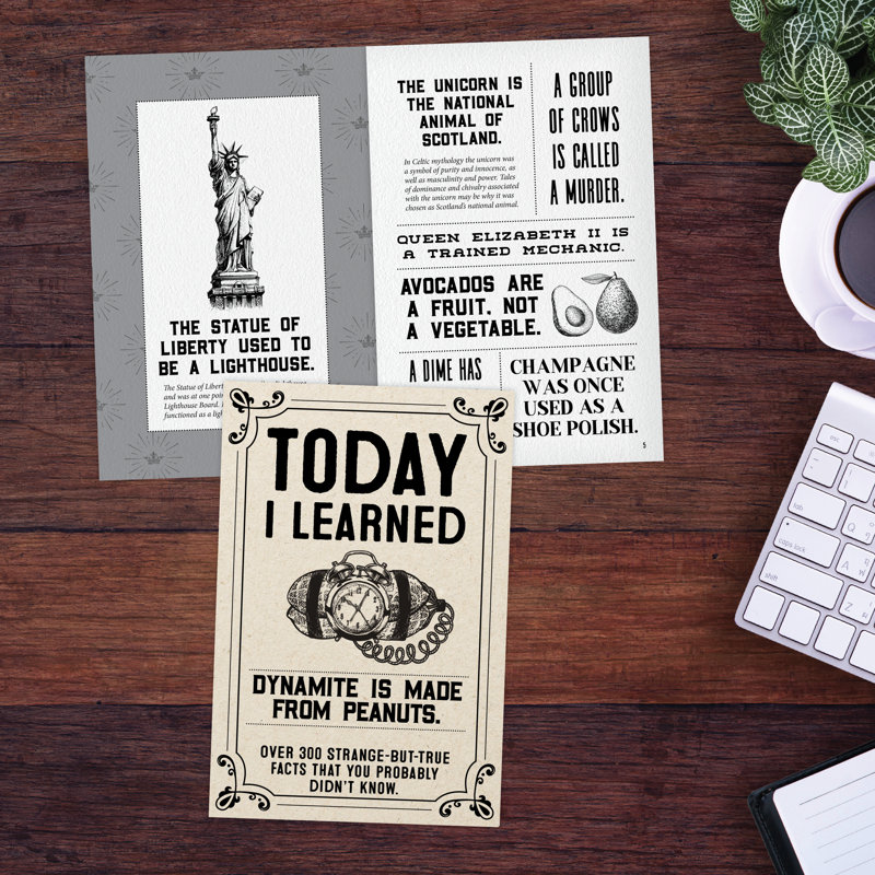 Today I Learned: Over 300 Strange But True Facts That You Probably Didn't Know Softcover Book