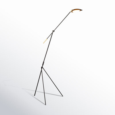 Cillian 60.5'' Dimmable LED Floor Lamp