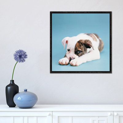 Shadow by Rachael Hale - Print on Canvas